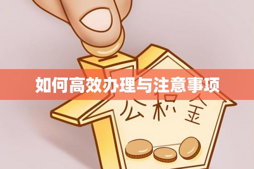 宽甸如何高效办理与注意事项
