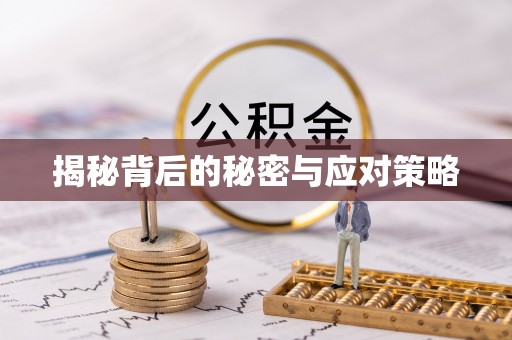 宽甸揭秘背后的秘密与应对策略