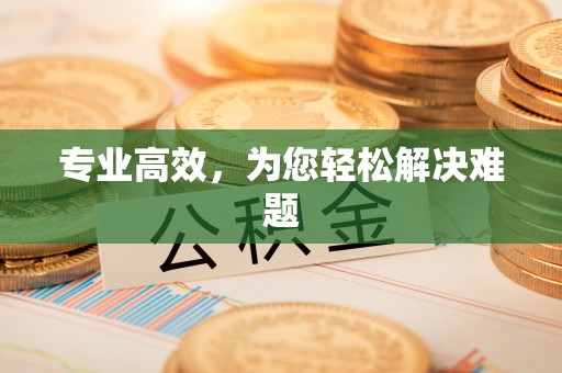 宽甸专业高效，为您轻松解决难题