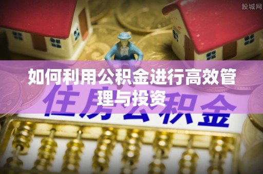 宽甸如何利用公积金进行高效管理与投资