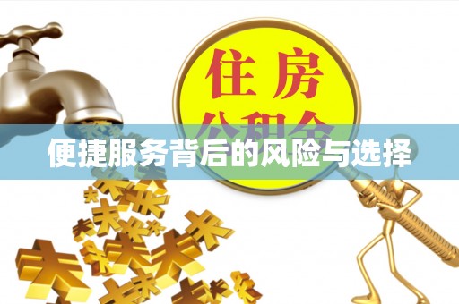 宽甸便捷服务背后的风险与选择